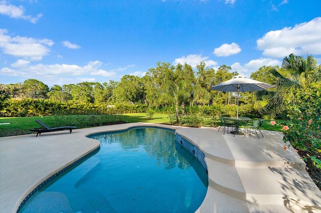 view of pool with a patio