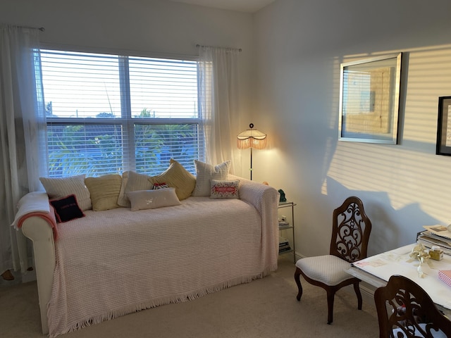 bedroom with light colored carpet