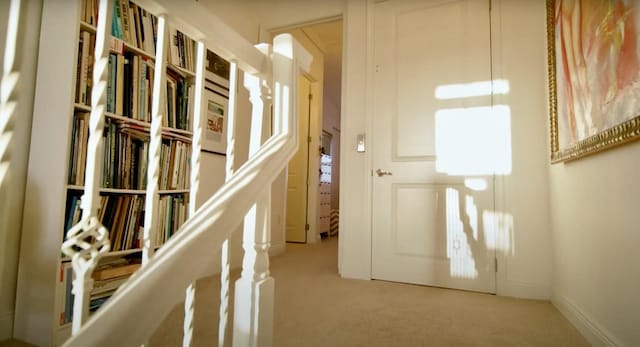 interior space with carpet