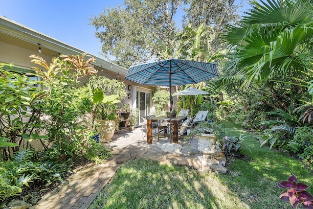 view of yard featuring a patio area