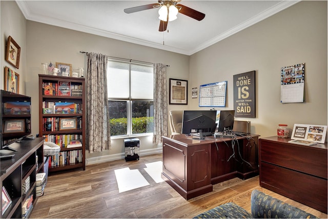 office with crown molding, a wealth of natural light, ceiling fan, and light hardwood / wood-style flooring