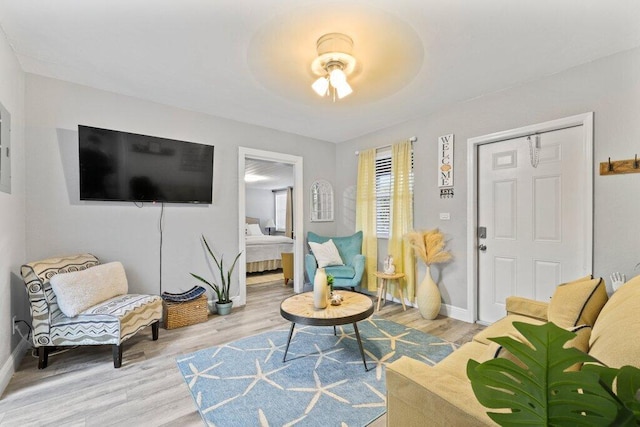 sitting room featuring light hardwood / wood-style flooring