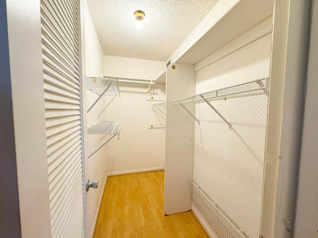 spacious closet featuring hardwood / wood-style flooring