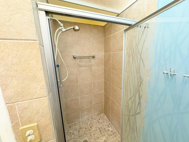 bathroom featuring a shower with shower door