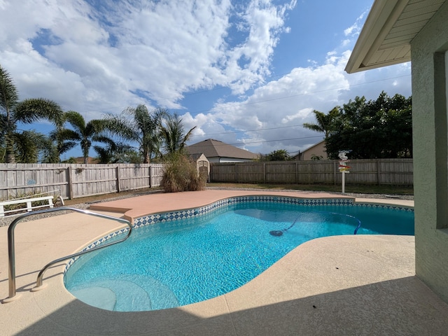 view of swimming pool with a patio