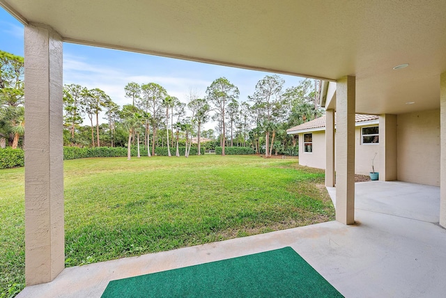 view of yard featuring a patio area