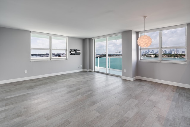 unfurnished room featuring light wood-type flooring