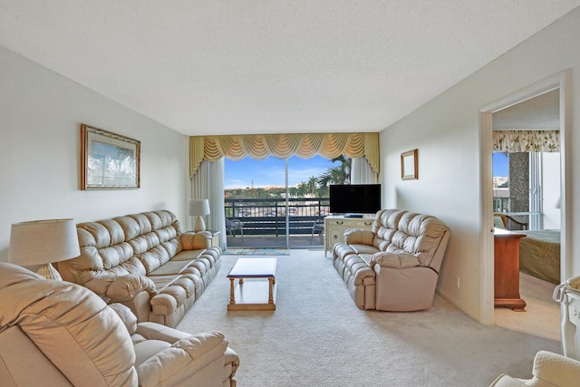 living room featuring carpet flooring and a textured ceiling