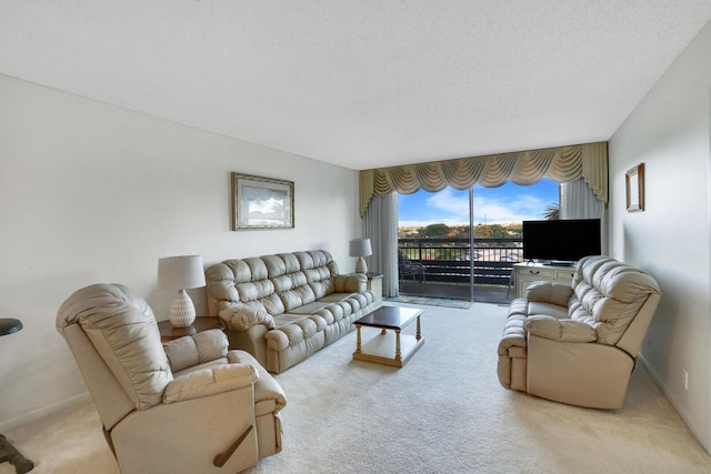 carpeted living room with a textured ceiling