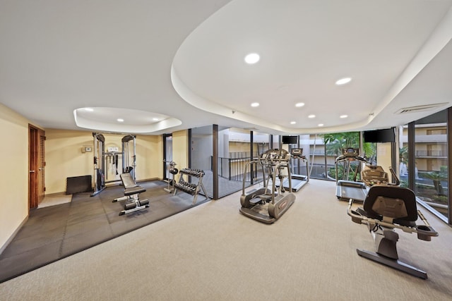 exercise room with a wall of windows, a tray ceiling, and carpet flooring