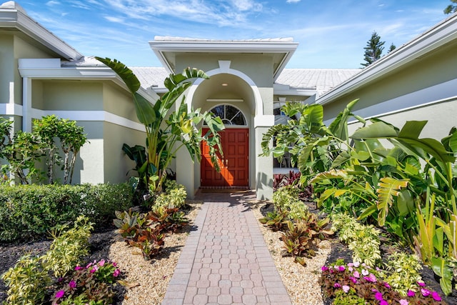 doorway to property featuring stucco siding