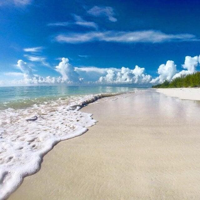 water view with a beach view