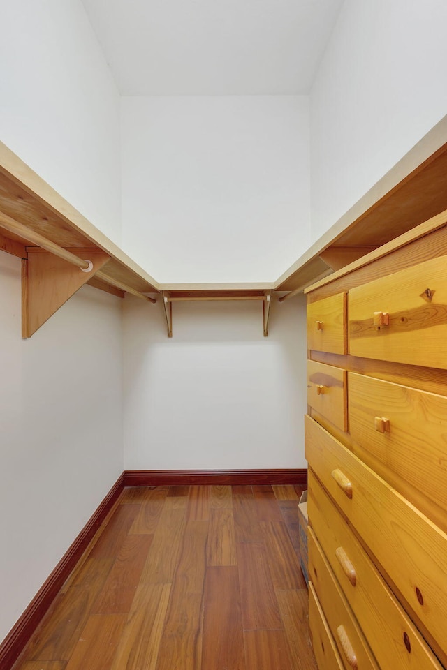 walk in closet with dark hardwood / wood-style floors