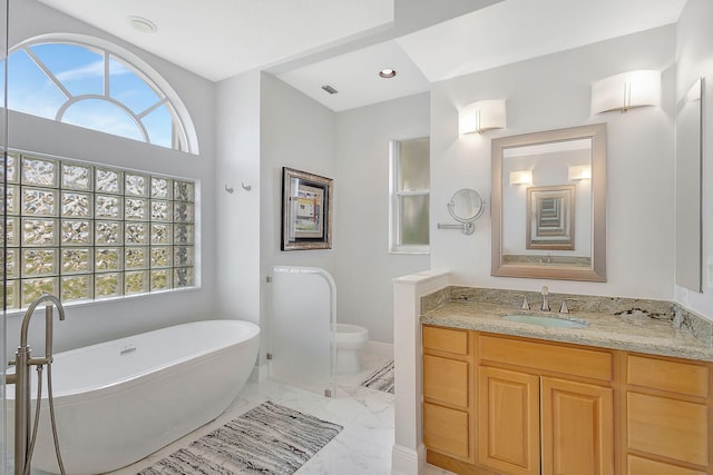 bathroom with vanity and a bathing tub