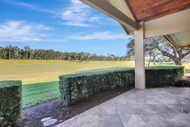 view of yard featuring a patio area