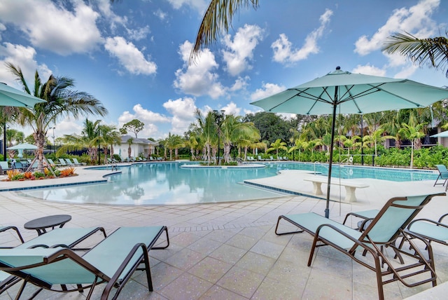 view of pool featuring a patio area