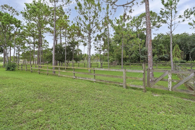 view of yard with a rural view