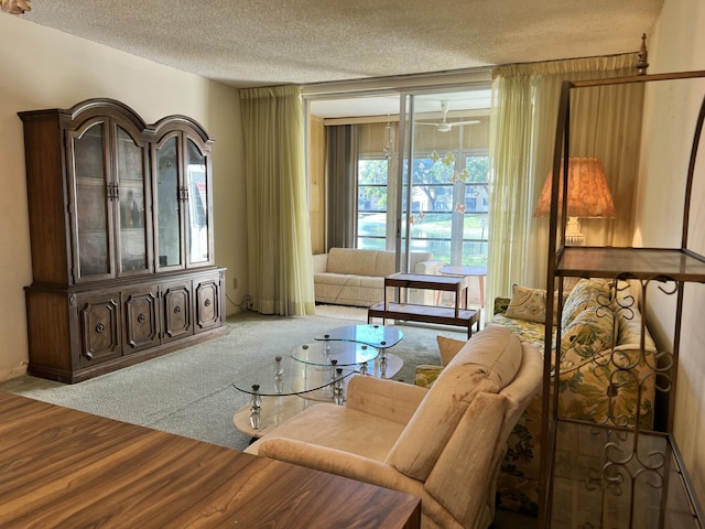 living area featuring a textured ceiling and carpet floors