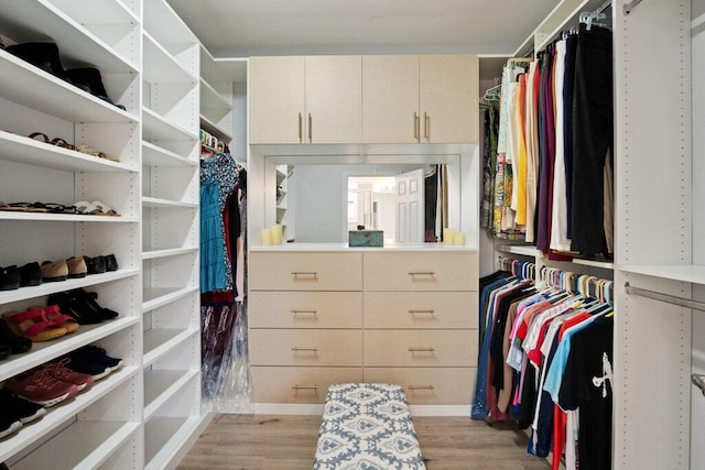 spacious closet featuring light wood-type flooring