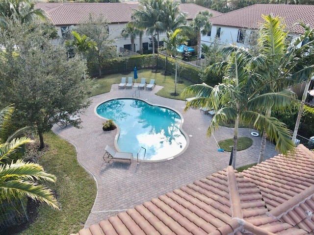 view of swimming pool with a patio