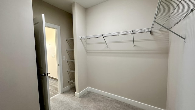 spacious closet featuring carpet floors