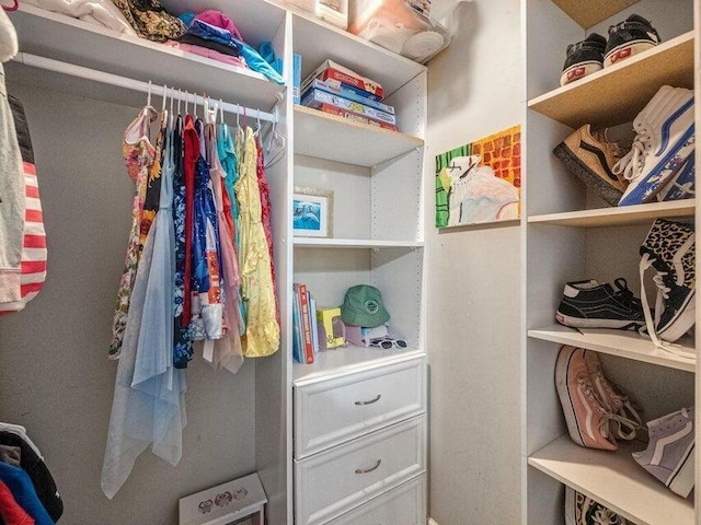 view of walk in closet