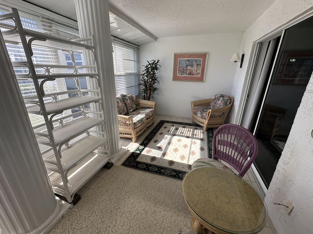 interior space with carpet and a textured ceiling