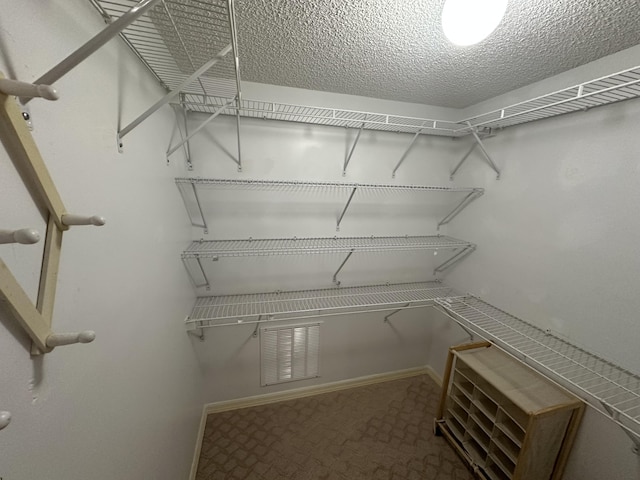 spacious closet featuring carpet floors