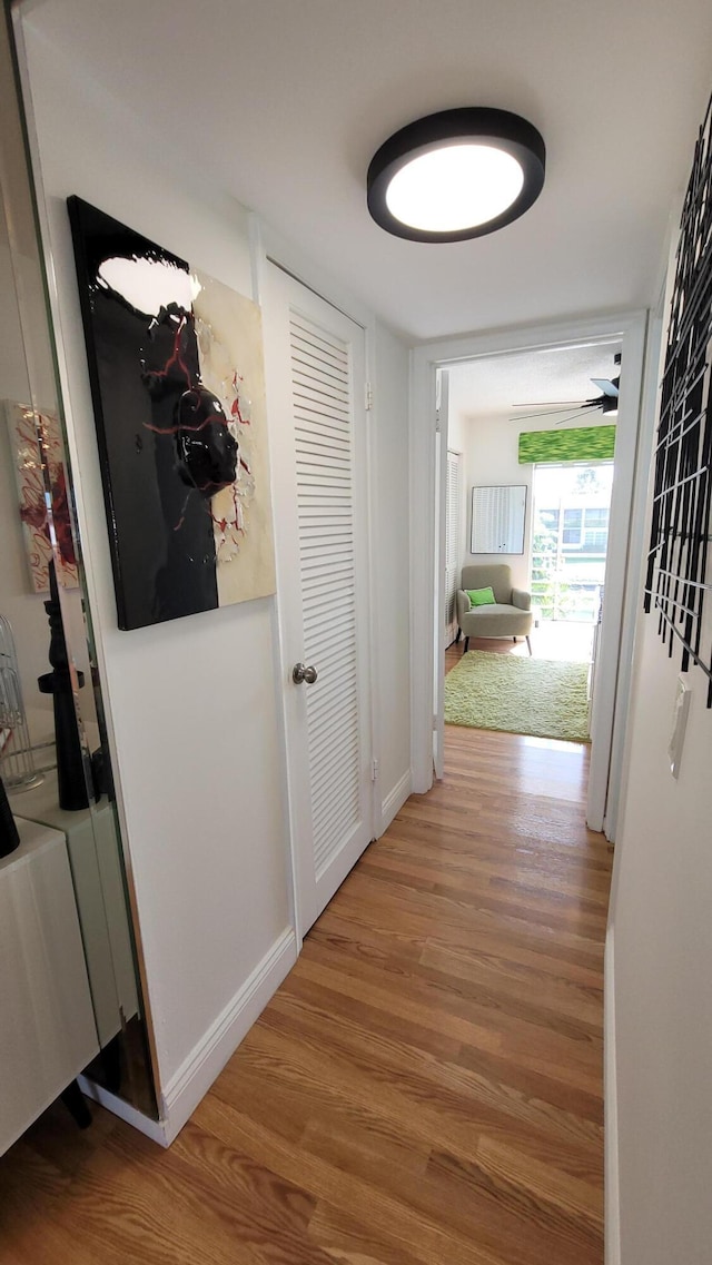 corridor featuring hardwood / wood-style flooring