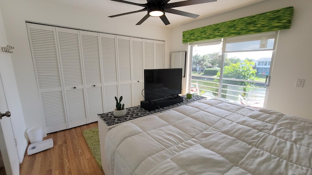 bedroom with hardwood / wood-style flooring and ceiling fan