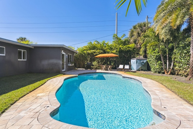 view of pool with a patio and a yard