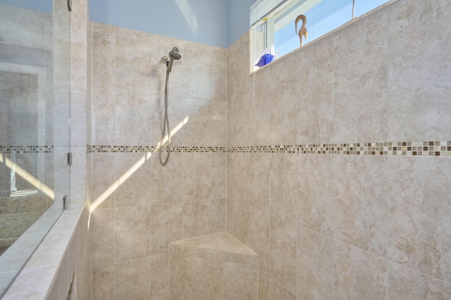 interior details with tiled shower