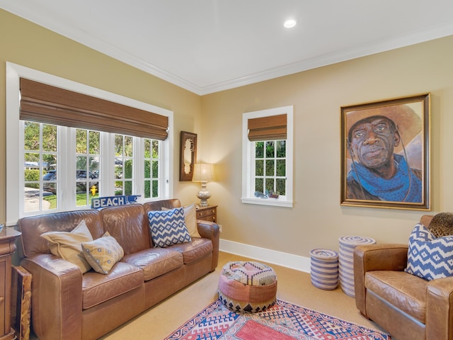 living room featuring ornamental molding and a wealth of natural light