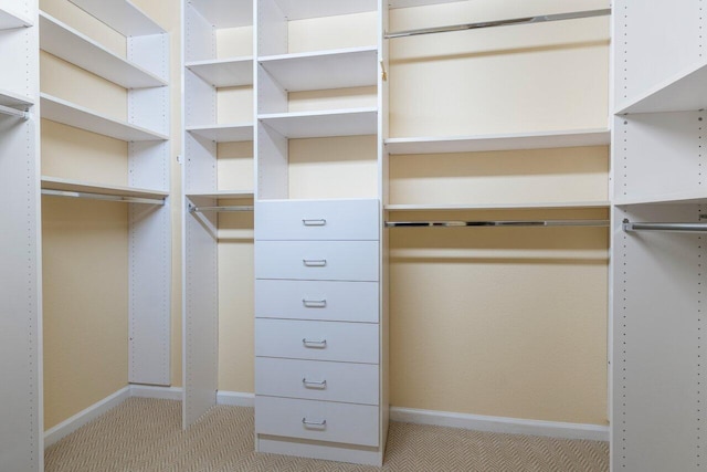 walk in closet featuring light colored carpet