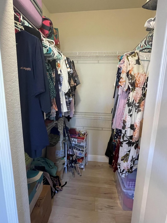 spacious closet with hardwood / wood-style flooring