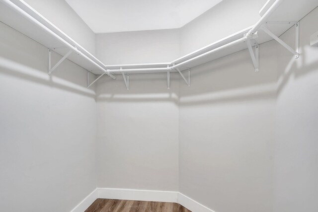 spare room featuring light wood-type flooring, a water view, and ceiling fan