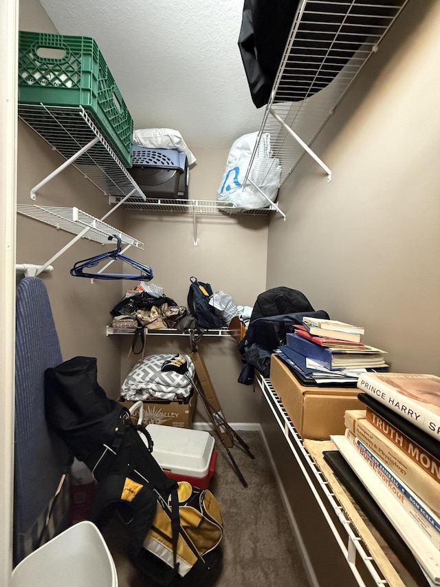 walk in closet featuring carpet floors