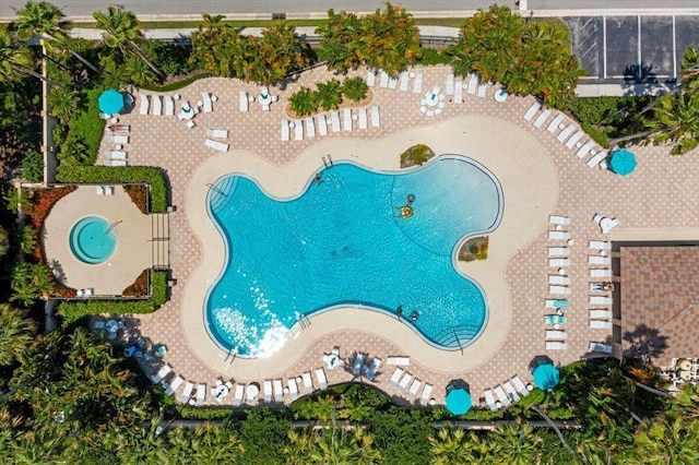 view of swimming pool