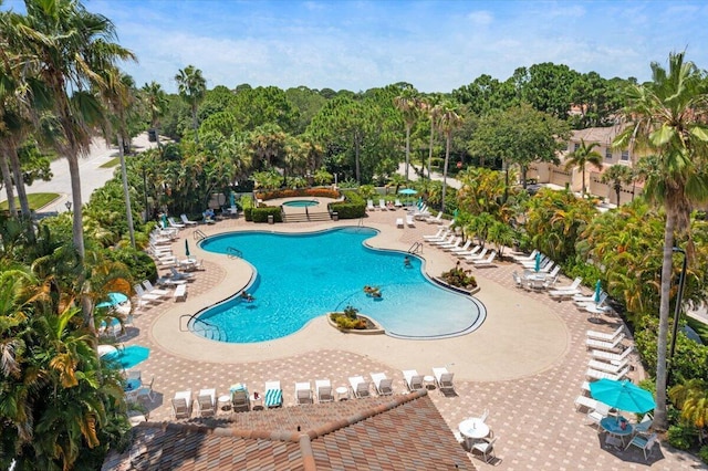 view of pool featuring a patio area