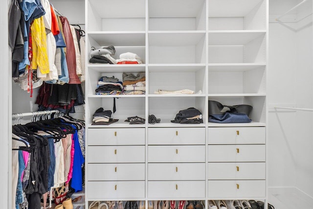 view of walk in closet