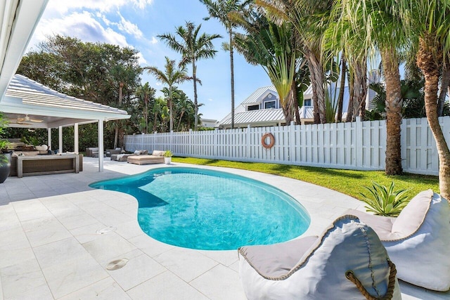 view of pool featuring a patio area