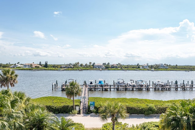 dock area with a water view