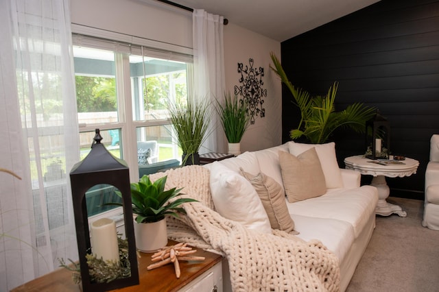 sitting room featuring carpet flooring