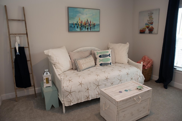 bedroom featuring carpet floors