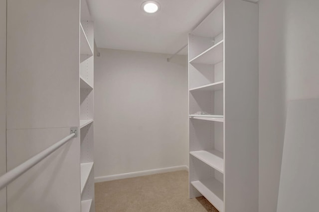 walk in closet featuring light carpet