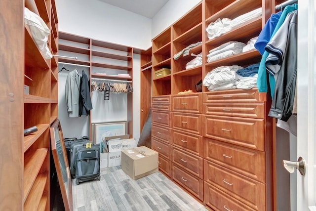 spacious closet featuring light wood-type flooring