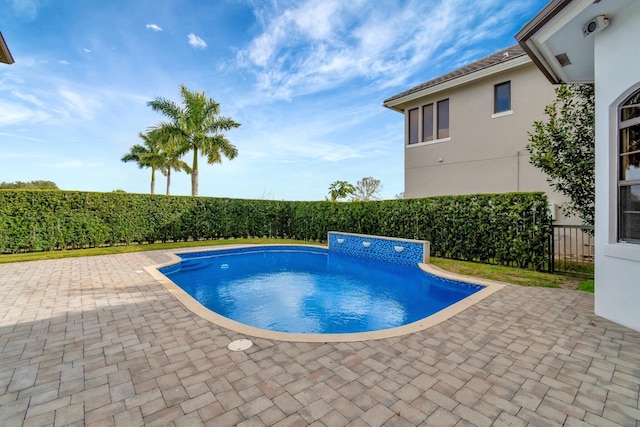 view of pool featuring a patio