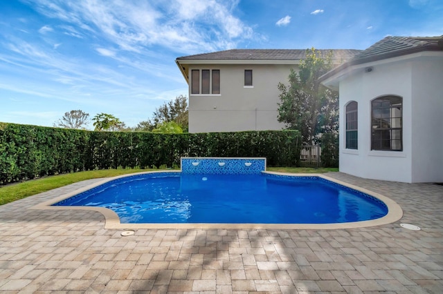 view of pool featuring a patio