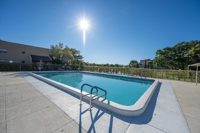 view of pool with a patio