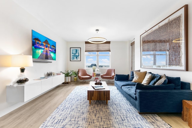 living room featuring light wood-type flooring